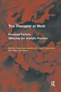 The Therapist at Work : Personal Factors Affecting the Analytic Process (The Efpp Monograph Series)