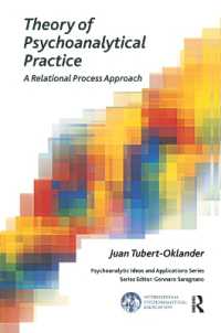 Theory of Psychoanalytical Practice : A Relational Process Approach (The International Psychoanalytical Association Psychoanalytic Ideas and Applications Series)