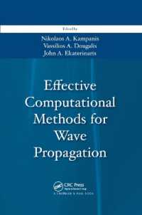 Effective Computational Methods for Wave Propagation