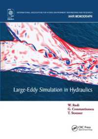 Large-Eddy Simulation in Hydraulics (Iahr Monographs)