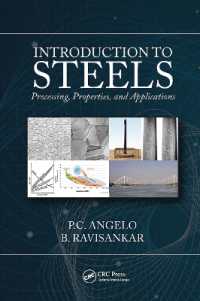 Introduction to Steels : Processing, Properties, and Applications