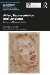 Affect, Representation and Language : Between the Silence and the Cry (The International Psychoanalytical Association Psychoanalytic Ideas and Applications Series)