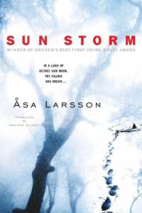 Sun Storm (Rebecka Martinsson)