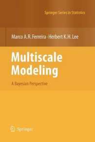 Multiscale Modelling : A Bayesian Perspective (Springer Series in Statistics) （2007. XII, 264 p. 23,5 cm）