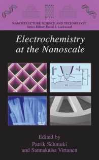 Electrochemistry at the Nanoscale (Nanostructure Science and Technology)