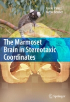 マーモセット脳定位座標アトラス<br>The Marmoset Brain in Stereotaxic Coordinates