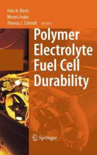 Proton Exchange Fuel Cell Durability