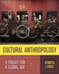 Cultural Anthropology : A Toolkit for a Global Age （2ND）