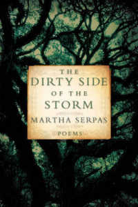 The Dirty Side of the Storm : Poems