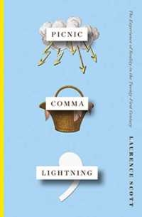 Picnic Comma Lightning : The Experience of Reality in the Twenty-First Century