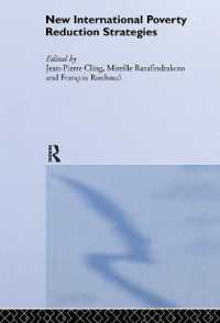 New International Poverty Reduction Strategies (Routledge Studies in Development Economics)