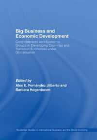 Big Business and Economic Development : Conglomerates and Economic Groups in Developing Countries and Transition Economies under Globalisation (Routledge Studies in International Business and the World Economy)