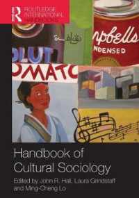 文化社会学ハンドブック<br>Handbook of Cultural Sociology