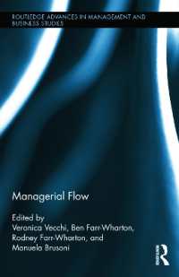 経営フロー<br>Managerial Flow (Routledge Advances in Management and Business Studies)