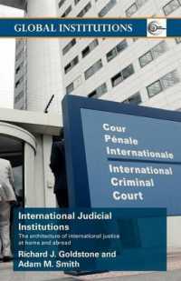 国際司法機関<br>International Judicial Institutions : The Architecture of International Justice at Home and Abroad (Global Institutions)