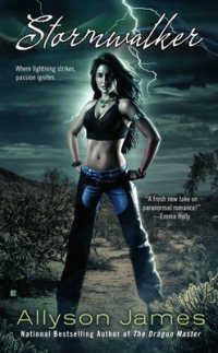 Stormwalker -- Paperback / softback