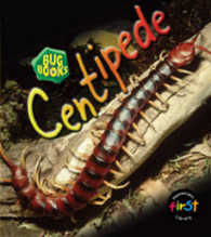 Centipede (First Library: Bug Books)