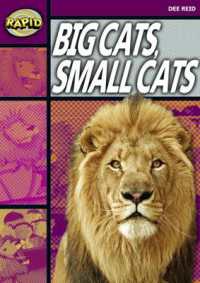 Rapid Reading: Big Cats Small Cats (Stage 1, Level 1A) (Rapid)