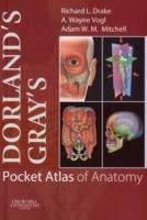 ドーランド／グレイ・ポケット解剖学アトラス<br>Dorland's/Gray's Pocket Atlas of Anatomy （1 MAC MIN）
