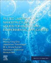 Pulsed Laser-Induced Nanostructures in Liquids for Energy and Environmental Applications (Micro & Nano Technologies)