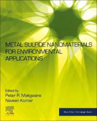 Metal Sulfide Nanomaterials for Environmental Applications (Micro & Nano Technologies)