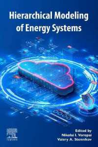 エネルギー・システムの階層モデル<br>Hierarchical Modeling of Energy Systems