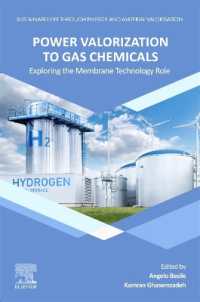 Power Valorization to Gas Chemicals : Exploring the Membrane Technology Role (Sustainable Life through Energy and Material Valorization)