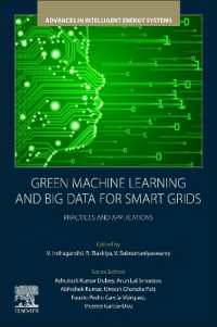 Green Machine Learning and Big Data for Smart Grids : Practices and Applications (Advances in Intelligent Energy Systems)
