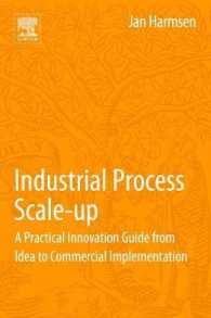 Industrial Process Scale-Up : A Practical Innovation Guide from Idea to Commercial Implementation