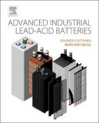 Electrochemical Power Sources : Fundamentals, Systems, and Applications: Advanced Industrial Lead-acid Batteries