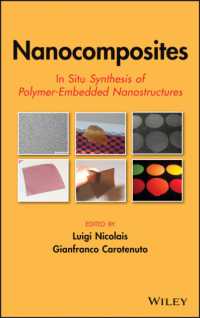 ナノ複合材料<br>Nanocomposites : In Situ Synthesis of Polymer-Embedded Nanostructures