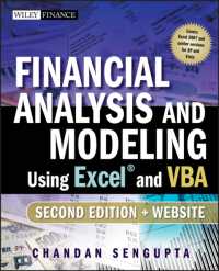 ExcelとVBAを用いた財務分析とモデリング（第２版）<br>Financial Analysis and Modeling : Using Excel and VBA (Wiley Finance) （2 PAP/CDR）