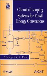 Chemical Looping Systems for Fossil Energy Conversions （HAR/CDR）
