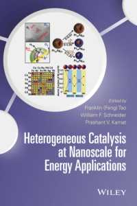 ナノスケールおよびエネルギーへの応用における不均一触媒<br>Heterogeneous Catalysis at Nanoscale for Energy Applications
