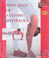 『トートラ人体の構造と機能』（原書）第１０版<br>Principles of Anatomy and Physiology （10TH）