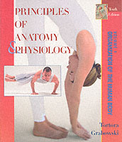 Principles of Anatomy and Physiology : Organization of the Human Body （10TH）