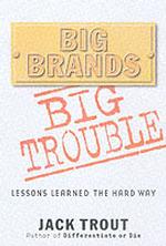 Big Brands Big Trouble : Lessons Learned the Hard Way