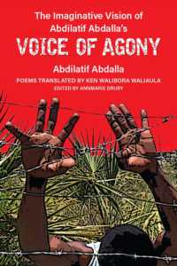 The Imaginative Vision of Abdilatif Abdalla's Voice of Agony (African Perspectives)