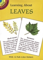 Learning about Leaves : With 12 Full-Color Stickers