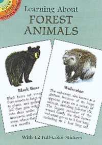 Learning about Forest Animals (Little Activity Books)