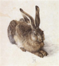 Great Animal Drawings and Prints (Dover Pictorial Archive Series)