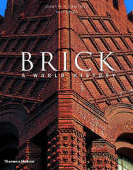 Brick : A World History