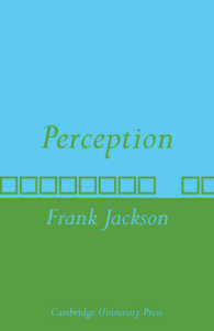 Perception : A representative theory