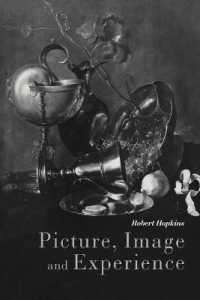 Picture, Image and Experience : A Philosophical Inquiry