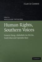 Human Rights, Southern Voices : Francis Deng, Abdullahi An-Na'im, Yash Ghai and Upendra Baxi (Law in Context)