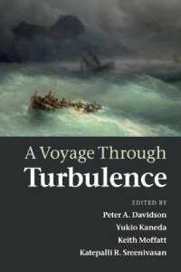 A Voyage through Turbulence