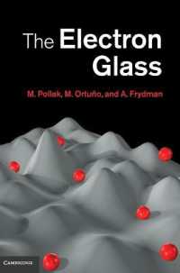 The Electron Glass