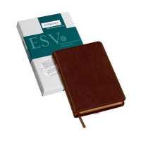 The Holy Bible : English Standard Version, Brown, Calf Split Leather, Pitt Minion Edition （BOX LEA）
