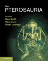 The Pterosauria