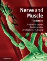 神経と筋肉（第４版）<br>Nerve and Muscle （4TH）